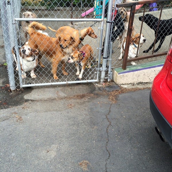 West Coast k9 Pet Supplies Store