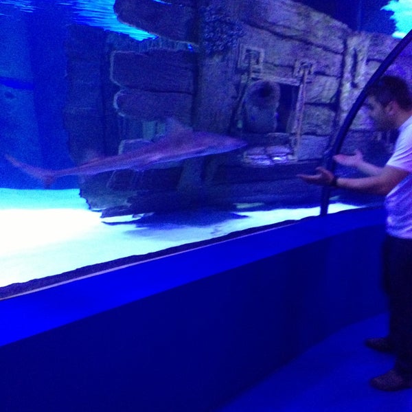 Photo taken at Antalya Aquarium by Uğur G. on 5/1/2013