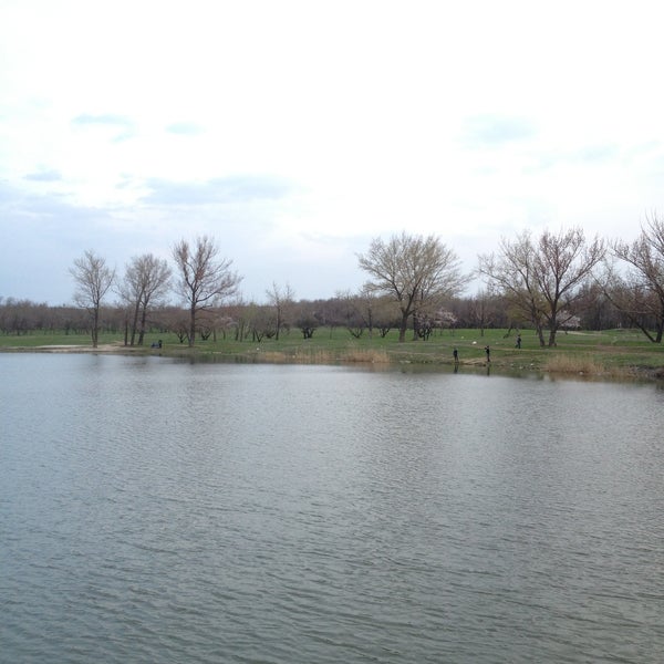 Поселок шахты антрацит. Поселок шахты антрацит. Поселок шахты антрацит. Аптека виола гуково. Старый город гуково.