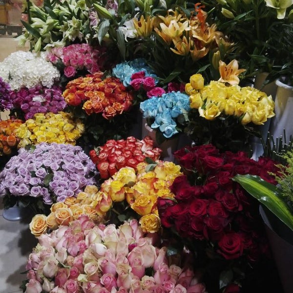 Photos At زهرة الربيع الريان الرياض منطقة الرياض