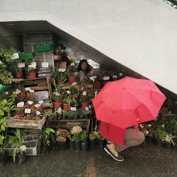 7/6/2019에 Gerard V.님이 Baguio City Public Market에서 찍은 사진