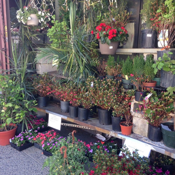 Photo taken at Nelly&#39;s Flower Shop by Eva W. on 4/28/2015