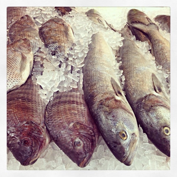 рыбы моря лаптевых