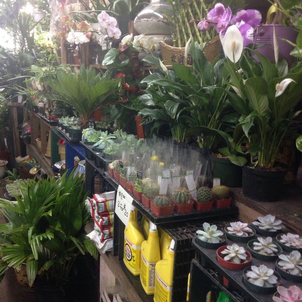 Photo taken at Nelly&#39;s Flower Shop by Eva W. on 5/30/2015
