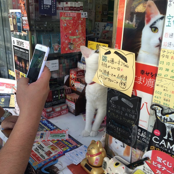 Fotos Em 糸久たばこ店 宝くじ 1 Dica Fotos Em 糸久たばこ店 宝くじ 1 Dica