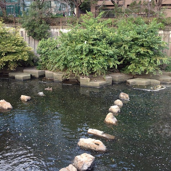 目黒川船入場 Plaza En 中目黒
