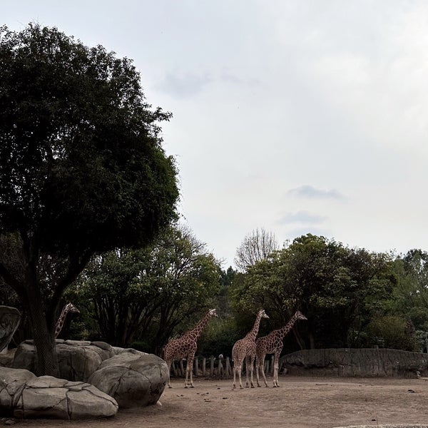 Foto tomada en Bosque de Chapultepec  por Ali. el 12/10/2023