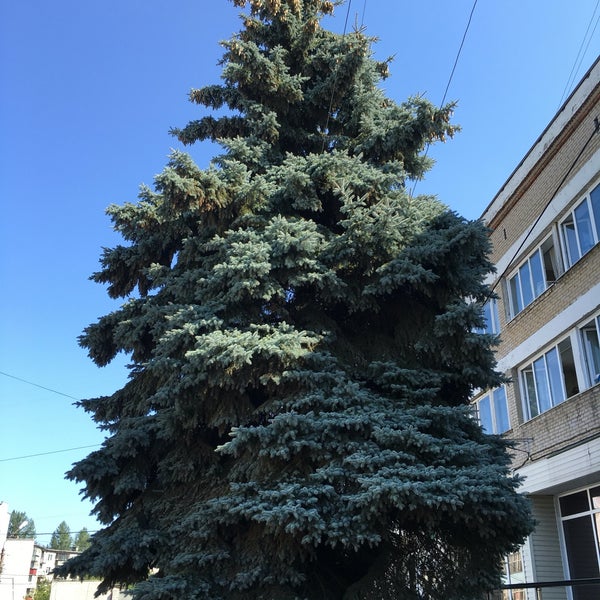 Магазин Малахит Липецк
