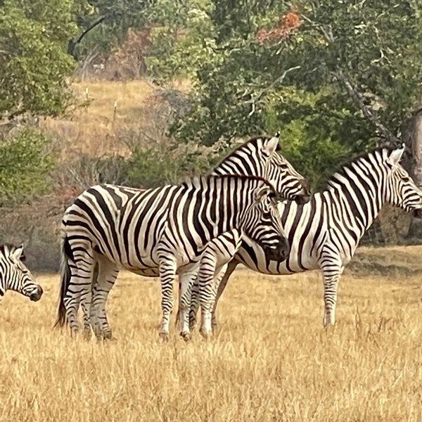 Photo taken at Wildlife Safari by Candace B. on 9/8/2021