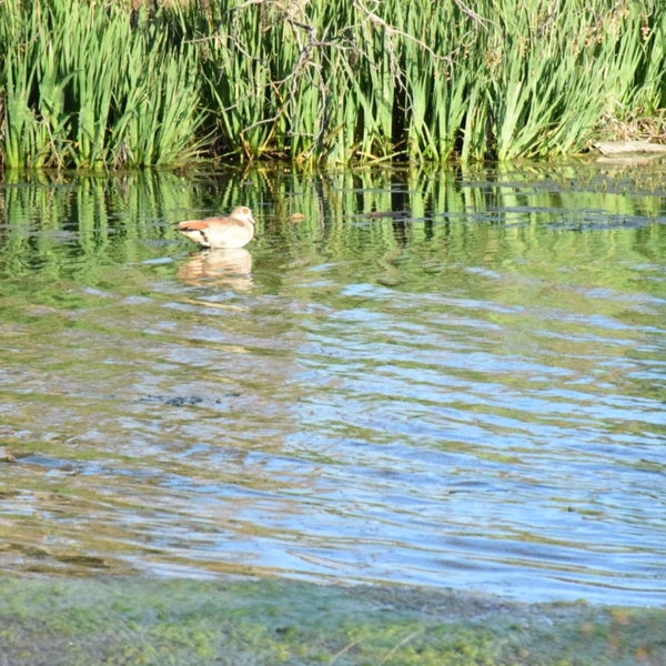 Flat Rock Park 1 tip