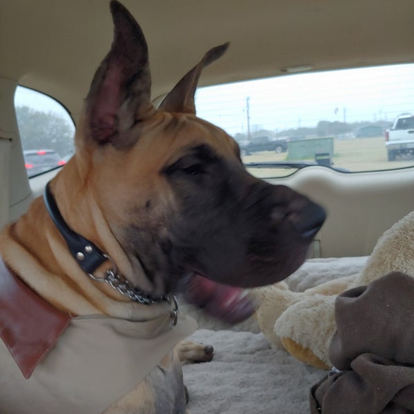 Texas Humane Heroes 10930 E Crystal Falls Pkwy