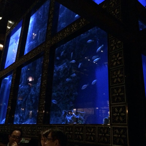 Photos At Luxis Aqua Restaurant Bar 4 Tips