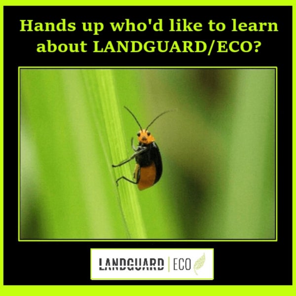 รูปภาพถ่ายที่ Landguard Pest Control โดย Martin C. เมื่อ 7/21/2019