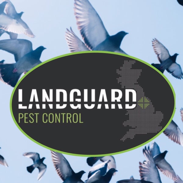 Photo prise au Landguard Pest Control par Martin C. le1/25/2019