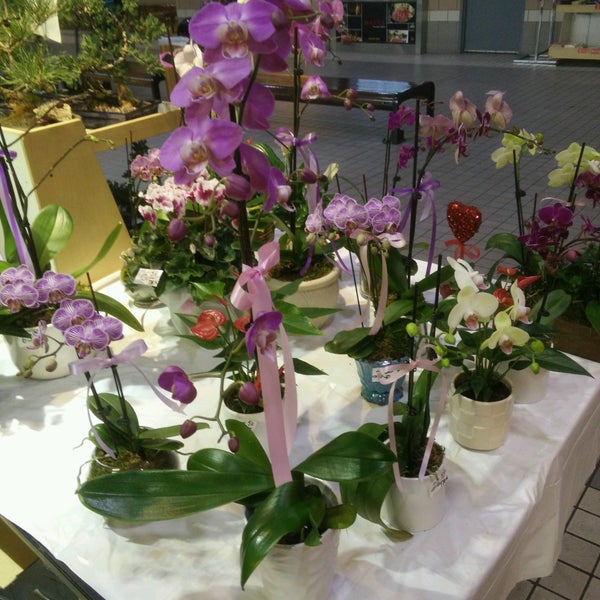 Kuragami Florist Little Tokyo Los Angeles, CA