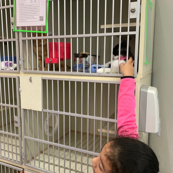 Petco Pet Supplies Store in Fresno