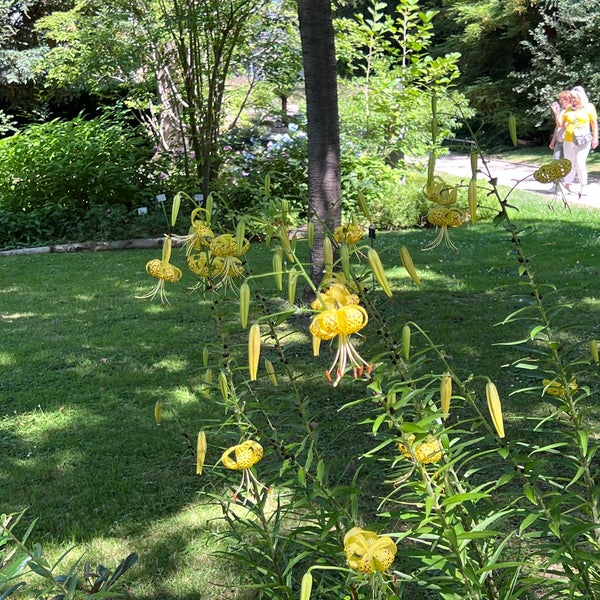 Botanischer Garten der Universität Bonn Universität Bonn