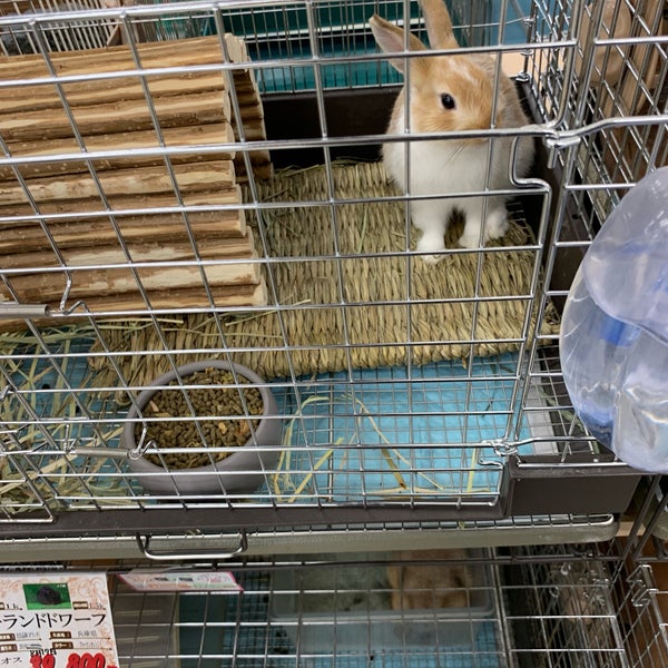 Photos At ジョイフル本田 ペットワールド 1 Tip