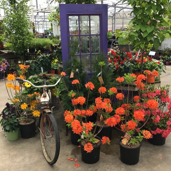 Petitti Garden Center - 10 tips from 605 visitors