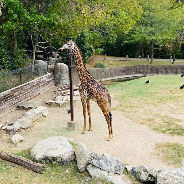 Foto diambil di Cameron Park Zoo oleh Steve P. pada 10/22/2020