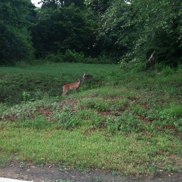 Paul G. Boorman Trail 4 tips