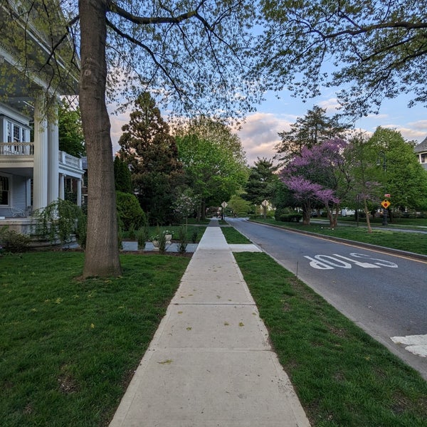 Ditmas Park Neighborhood in Brooklyn