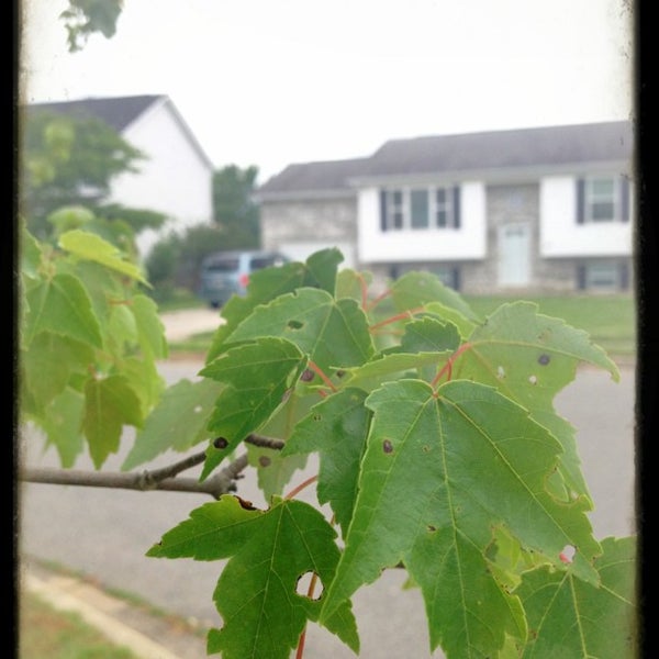 Chancellors Run Park Park