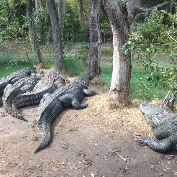 Edisto Island Serpentarium 4 tips from 161 visitors