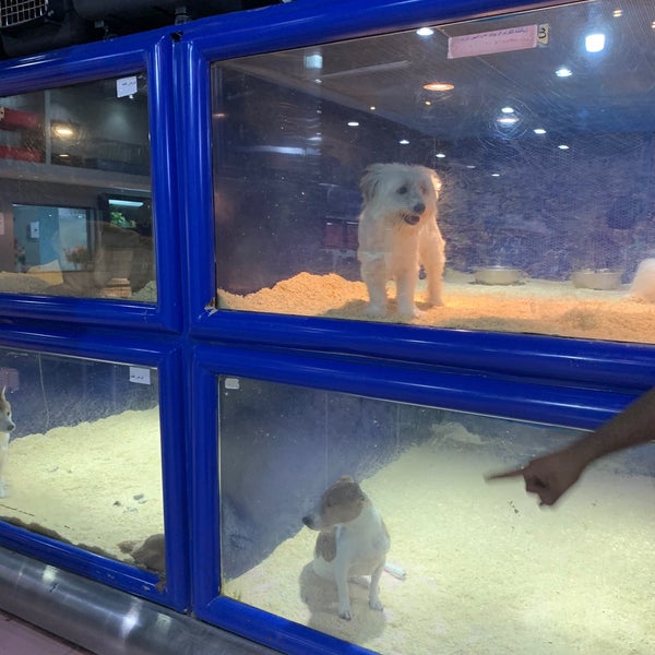 รูปภาพถ่ายที่ Joon Veterinary Clinic &amp; Pet Shop โดย r เมื่อ 11/27/2020
