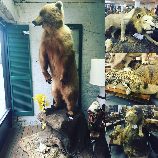 Photos At Good Deal Garage Antique Shop In Edgewater