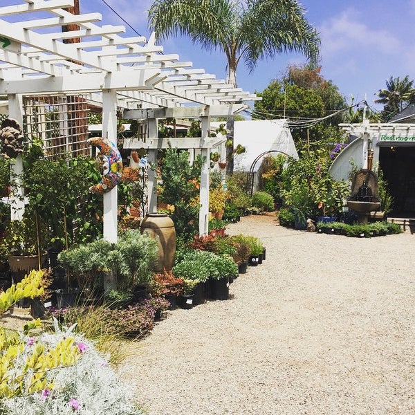 Anderson S La Costa Nursery Encinitas Ca Anderson S La Costa Nursery Encinitas Ca