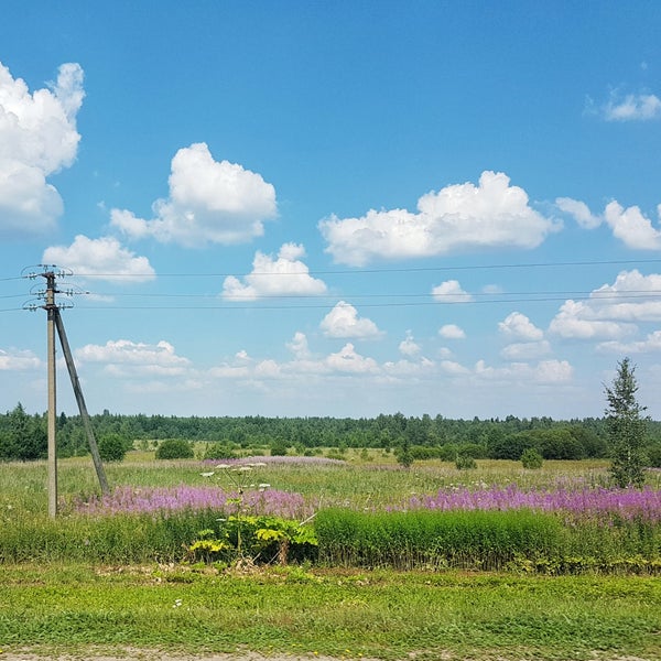 Бокситогорский Район Фото