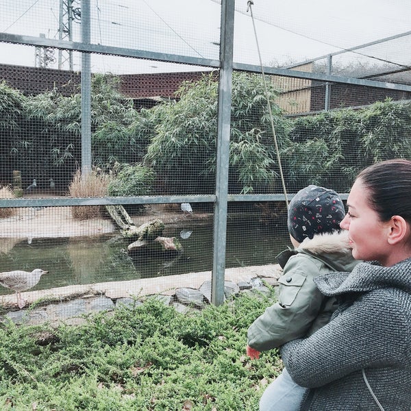 Wildpark Reuschenberg Zoo in Leverkusen