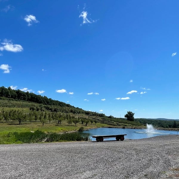 Brace's Orchard 444 Brace Rd