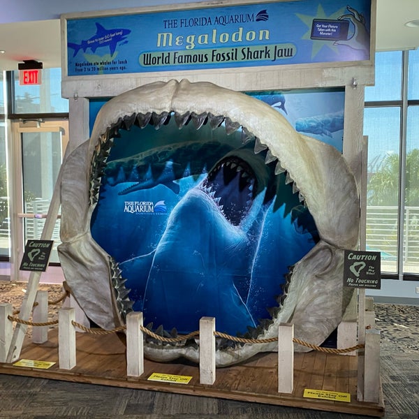Foto scattata a The Florida Aquarium da Martina S. il 9/2/2020