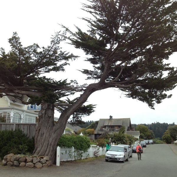 Foto tomada en MacCallum House Restaurant, Grey Whale Bar &amp; Cafe  por Tim E. el 5/10/2013