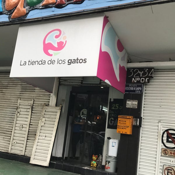 6/24/2017에 Dessy B.님이 La Tienda De los Gatos에서 찍은 사진