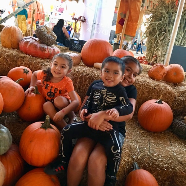 Pumpkin Patch Chino Hills Ca
