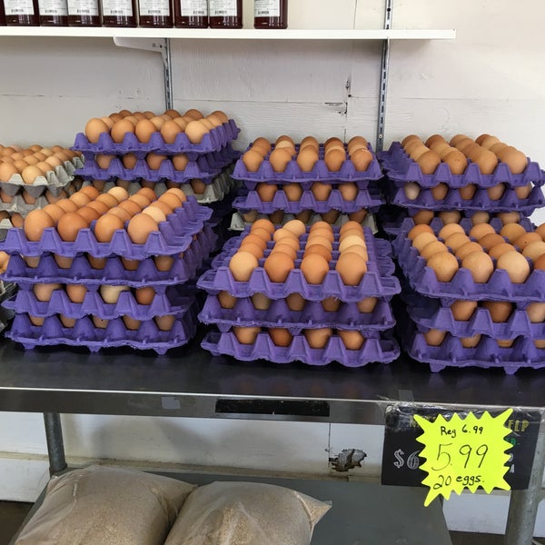 egg farm on s bricksmith rd ft pierce fl egg farm on s bricksmith rd ft pierce fl