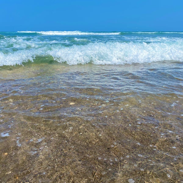 Photos At 大竹海岸 1 Tip From 550 Visitors