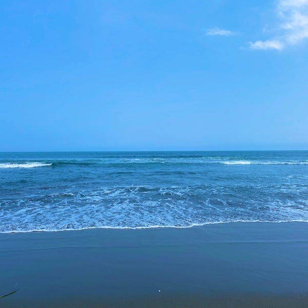 Photos At 大竹海岸 1 Tip From 550 Visitors