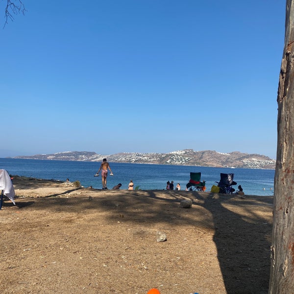 8/26/2021 tarihinde Malike S.ziyaretçi tarafından Dodo Beach Club'de çekilen fotoğraf