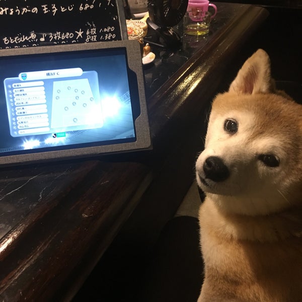 Photos At Restaurant Bar Stolas 立川 曙町2 30 5