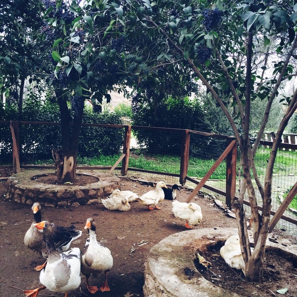 Photo prise au Çim Kahvaltı &amp; Mangal Bahçesi par Duygu A. le1/4/2015