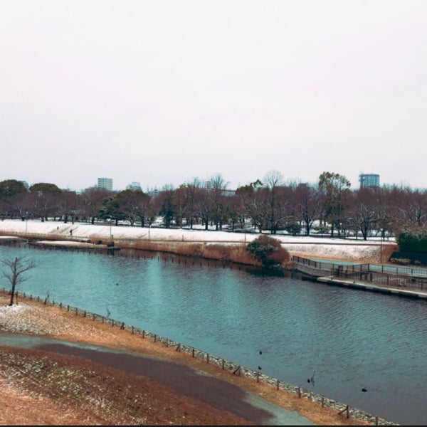 次での写真 亀戸中央公園 じゃぶじゃぶ池 江東区 東京都