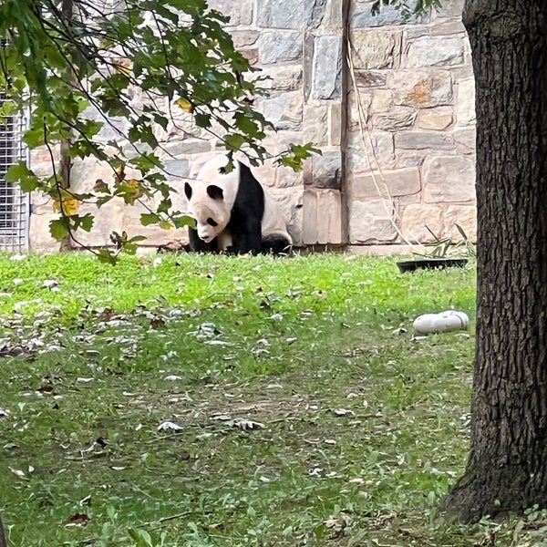 Photo taken at Smithsonian’s National Zoo by O! on 10/8/2023