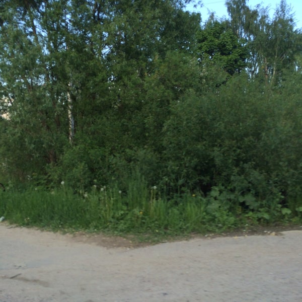 погода мартемьяново тульская область