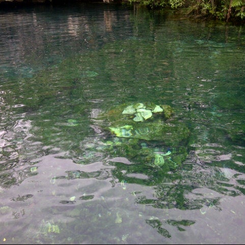 Si te gustan los Cenotes Abiertos pregunta el Cenote Agua Profunda