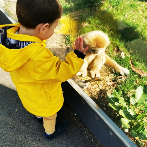 Photo taken at Sofia Zoo by iuinka on 4/15/2022
