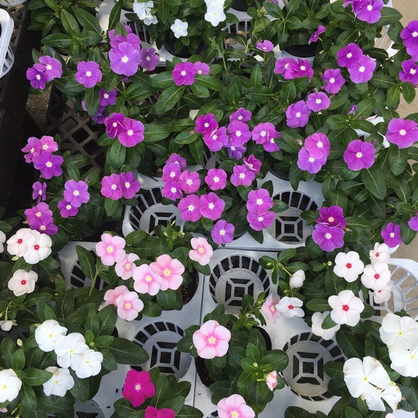 ナフコ Home Service In 大多喜町